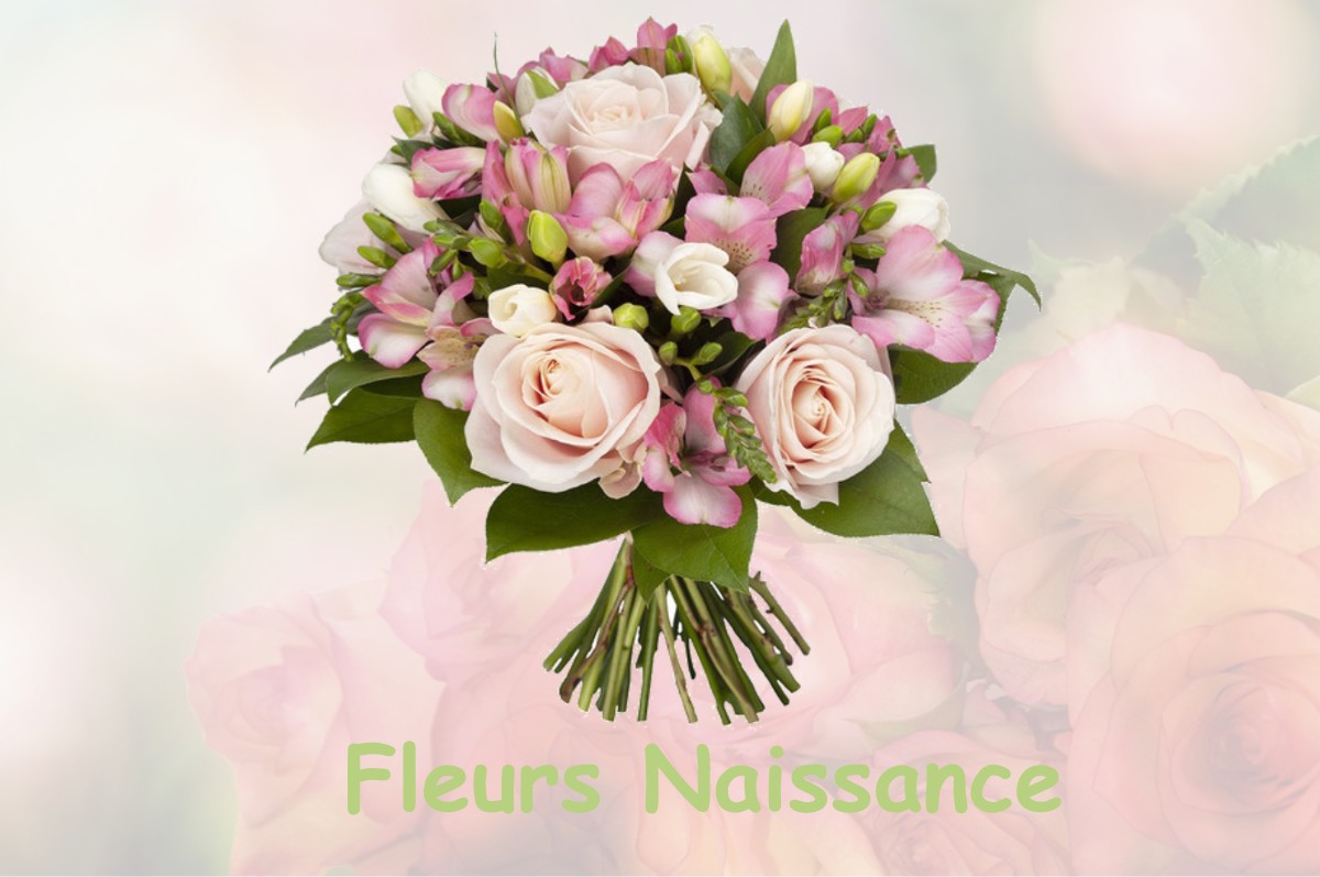 fleurs naissance BRETX