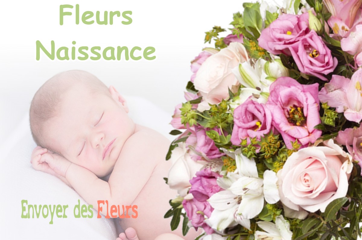 lIVRAISON FLEURS NAISSANCE à BRETX